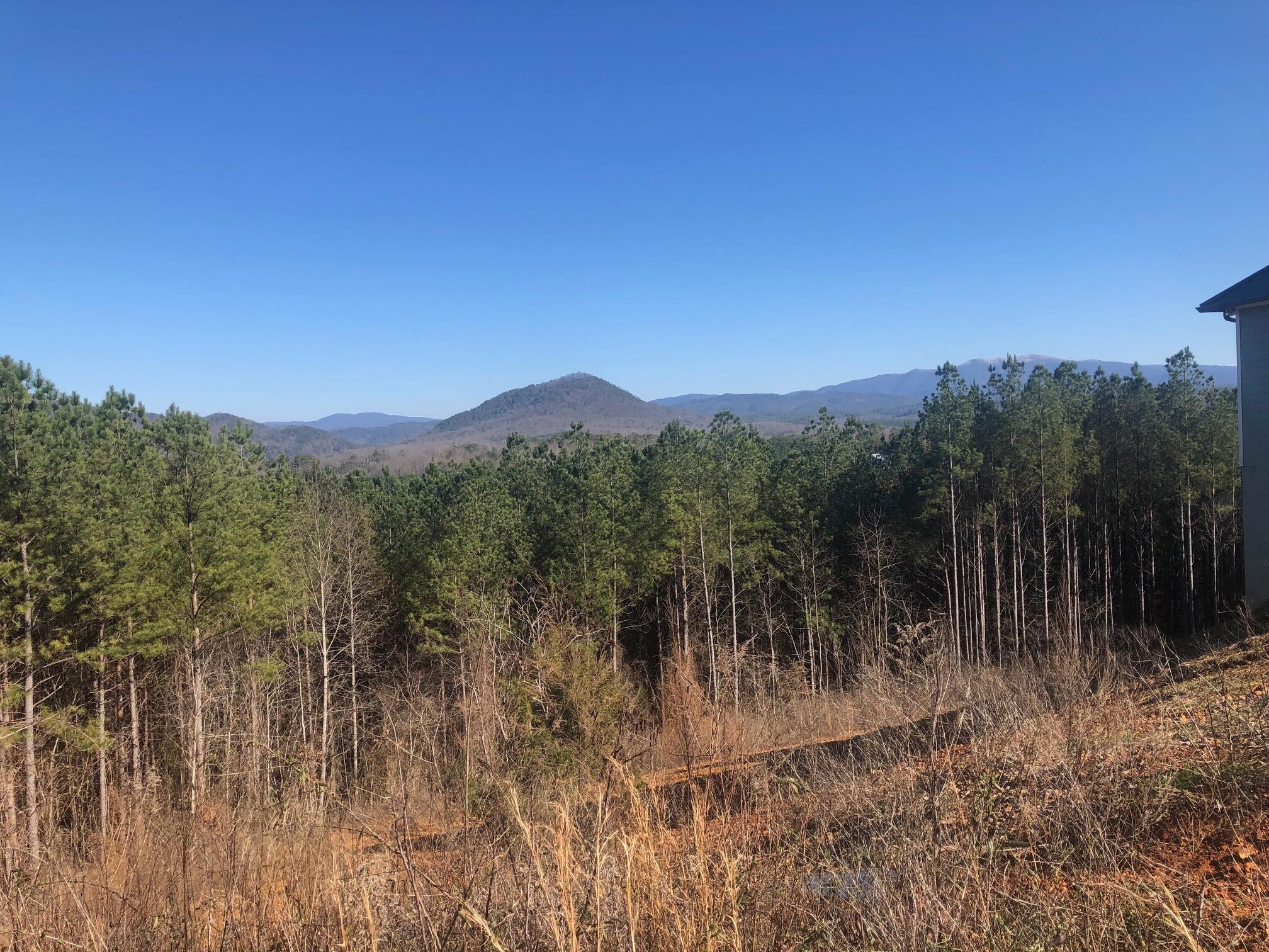 147 Cherokee Ridge Drive Ocoee TN 37361