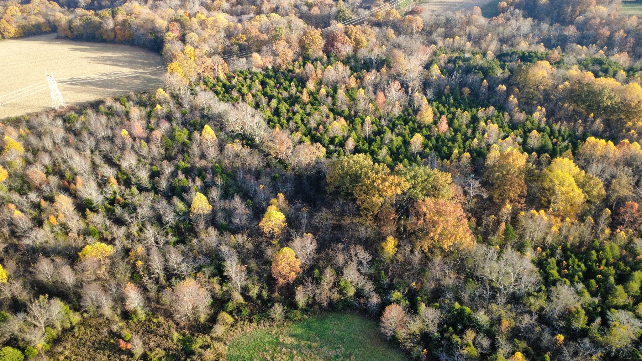 3941 Baggett Road Springfield TN 37172