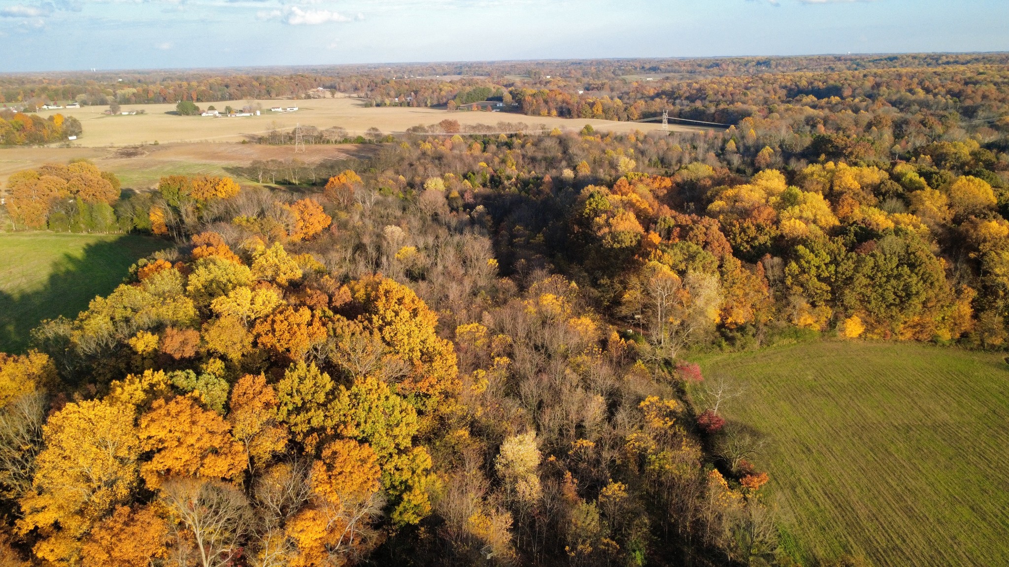 3941 Baggett Road Springfield TN 37172