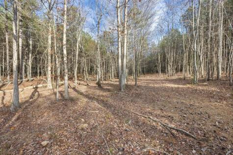 0 Raulston Falls Road Jasper TN 37347