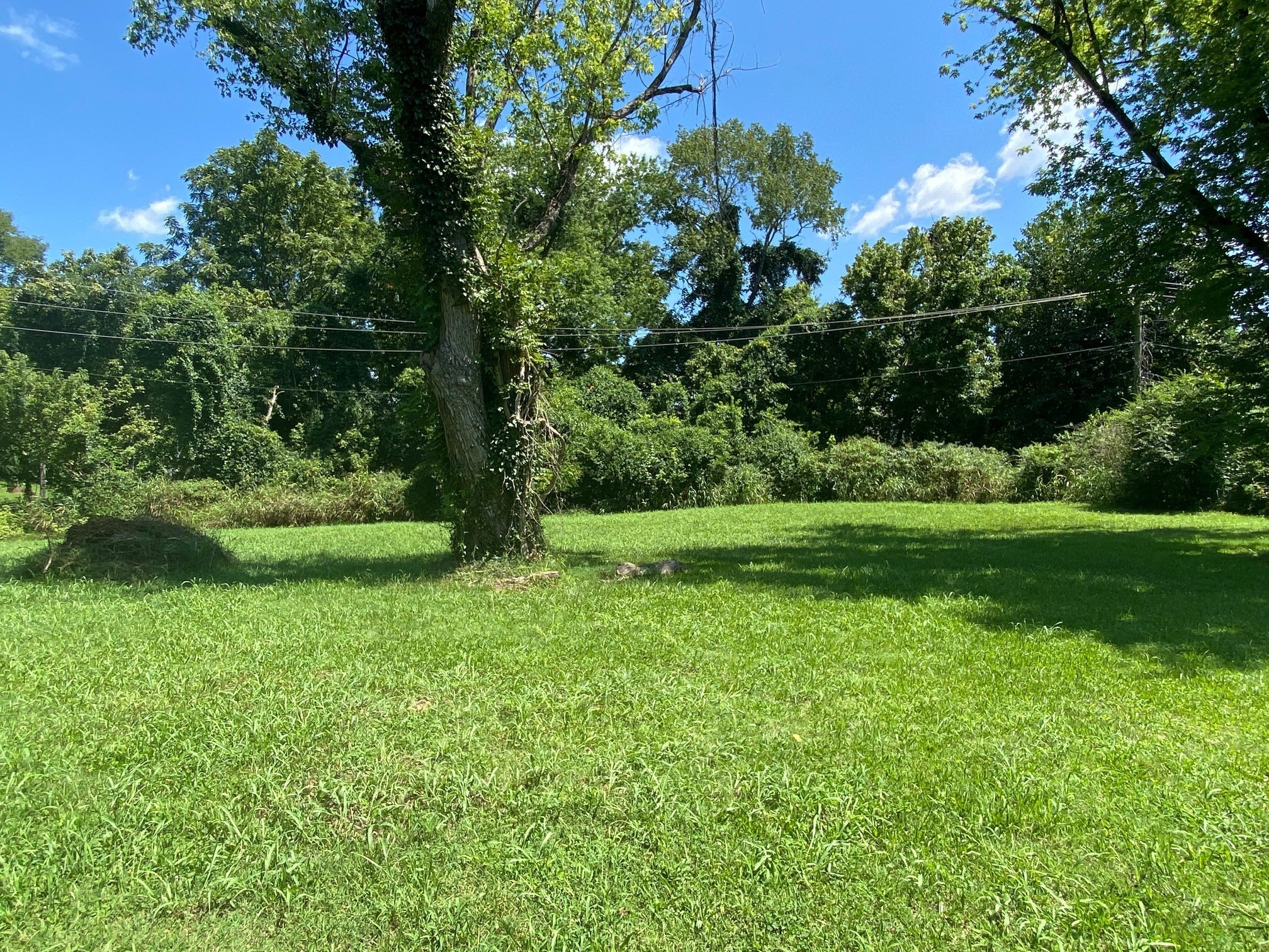 1019 Stafford Street Clarksville TN 37040