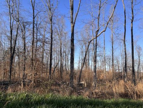 1 Water Ridge Drive Sparta TN 38583