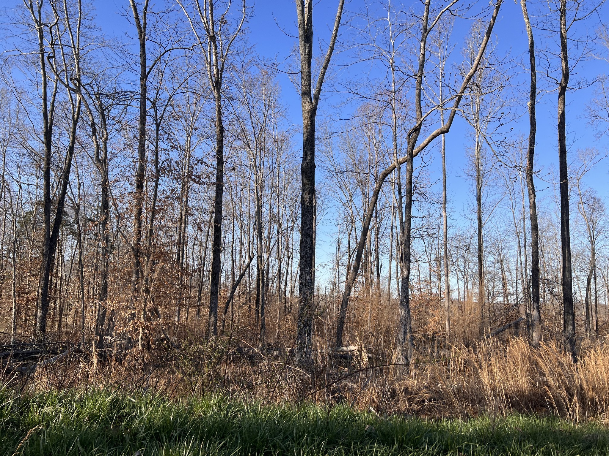 1 Water Ridge Drive Sparta TN 38583