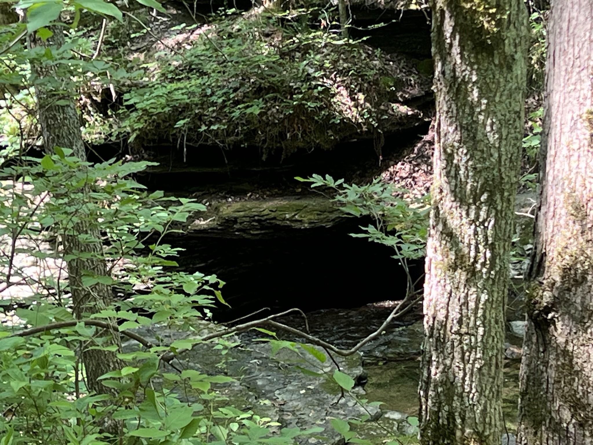 0 Highway 49 Ashland City TN 37015
