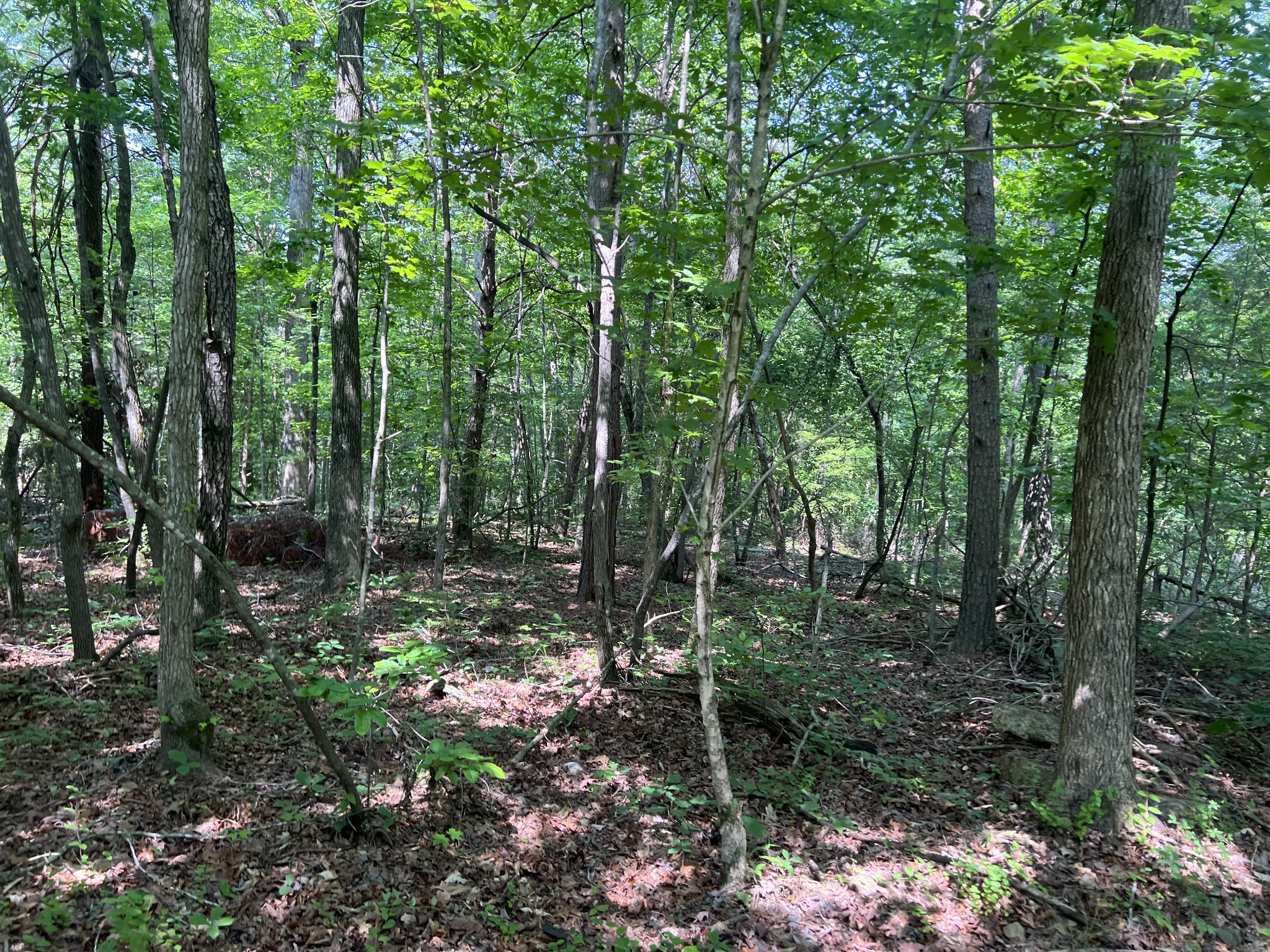 0 Highway 49 Ashland City TN 37015