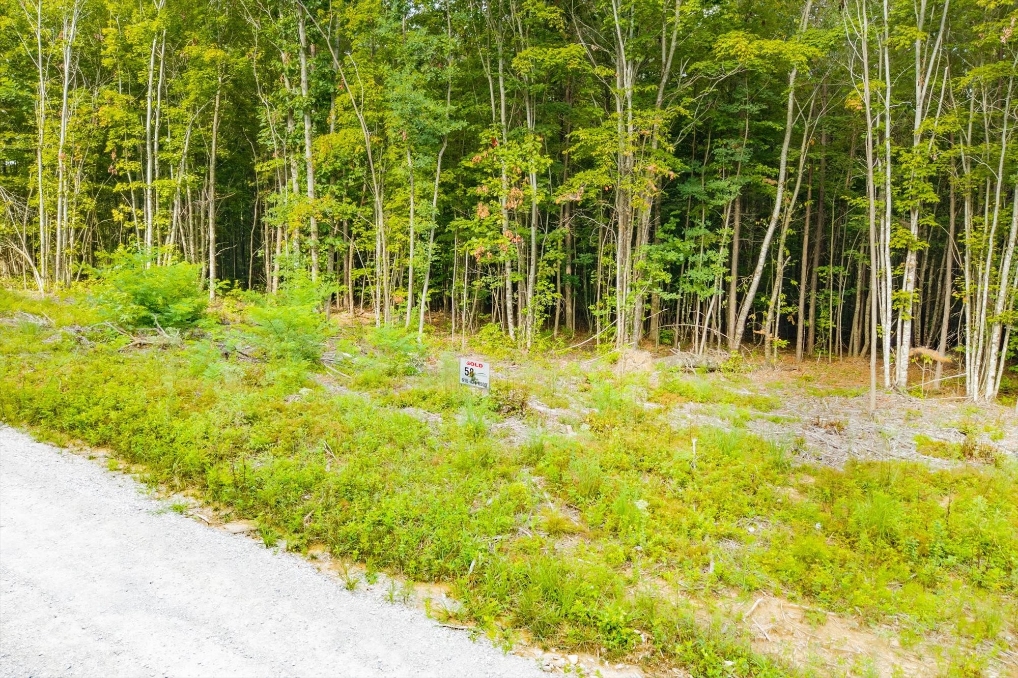 0 Spokelay Road Spencer TN 38585