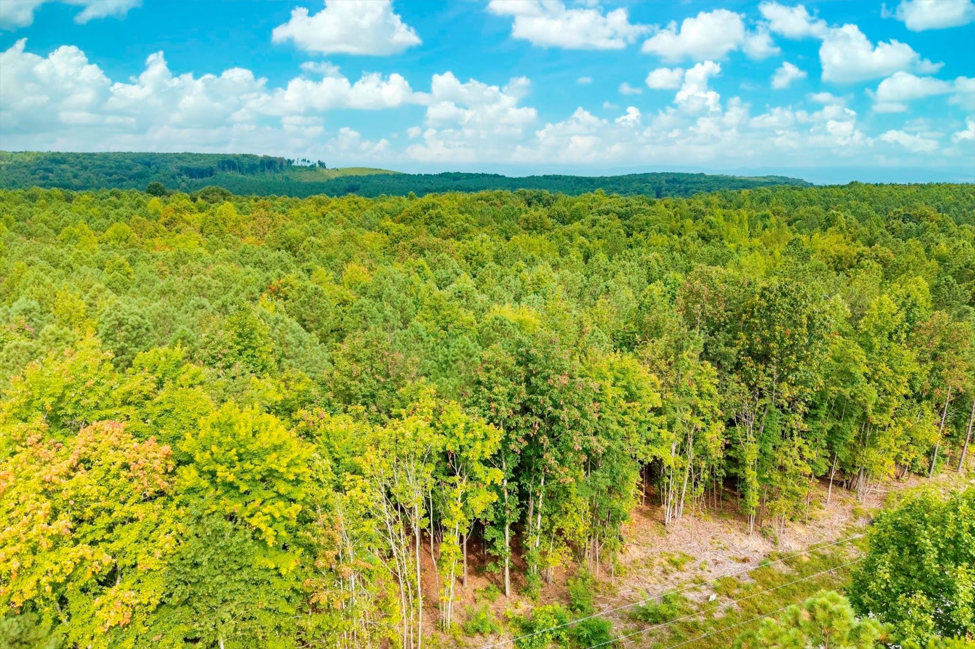 0 Spokelay Road Spencer TN 38585
