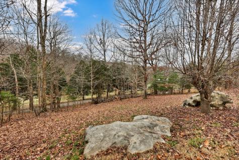 3845 Wickham Road Palmyra TN 37142