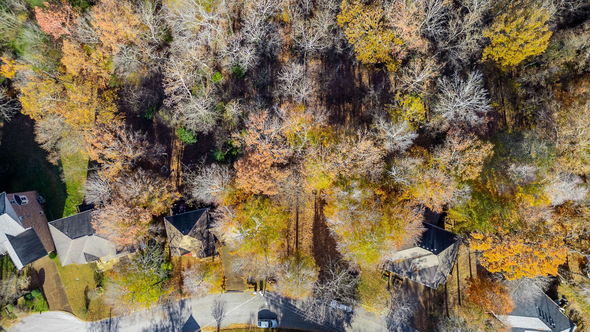 165 Overlook Court Kingston Springs TN 37082