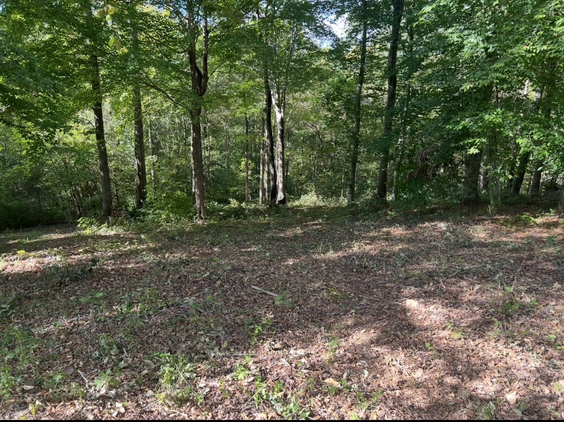 165 Overlook Court Kingston Springs TN 37082