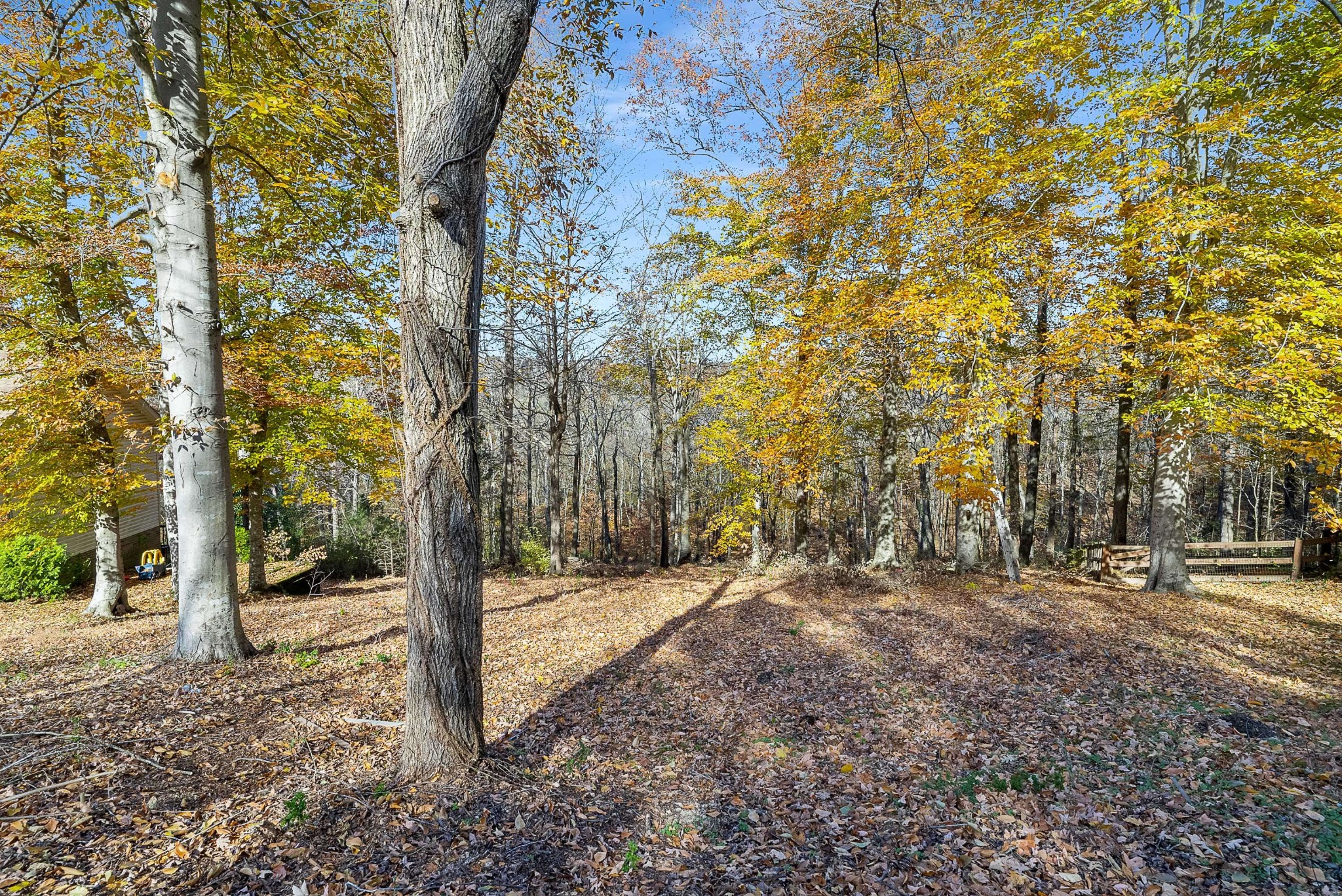 165 Overlook Court Kingston Springs TN 37082