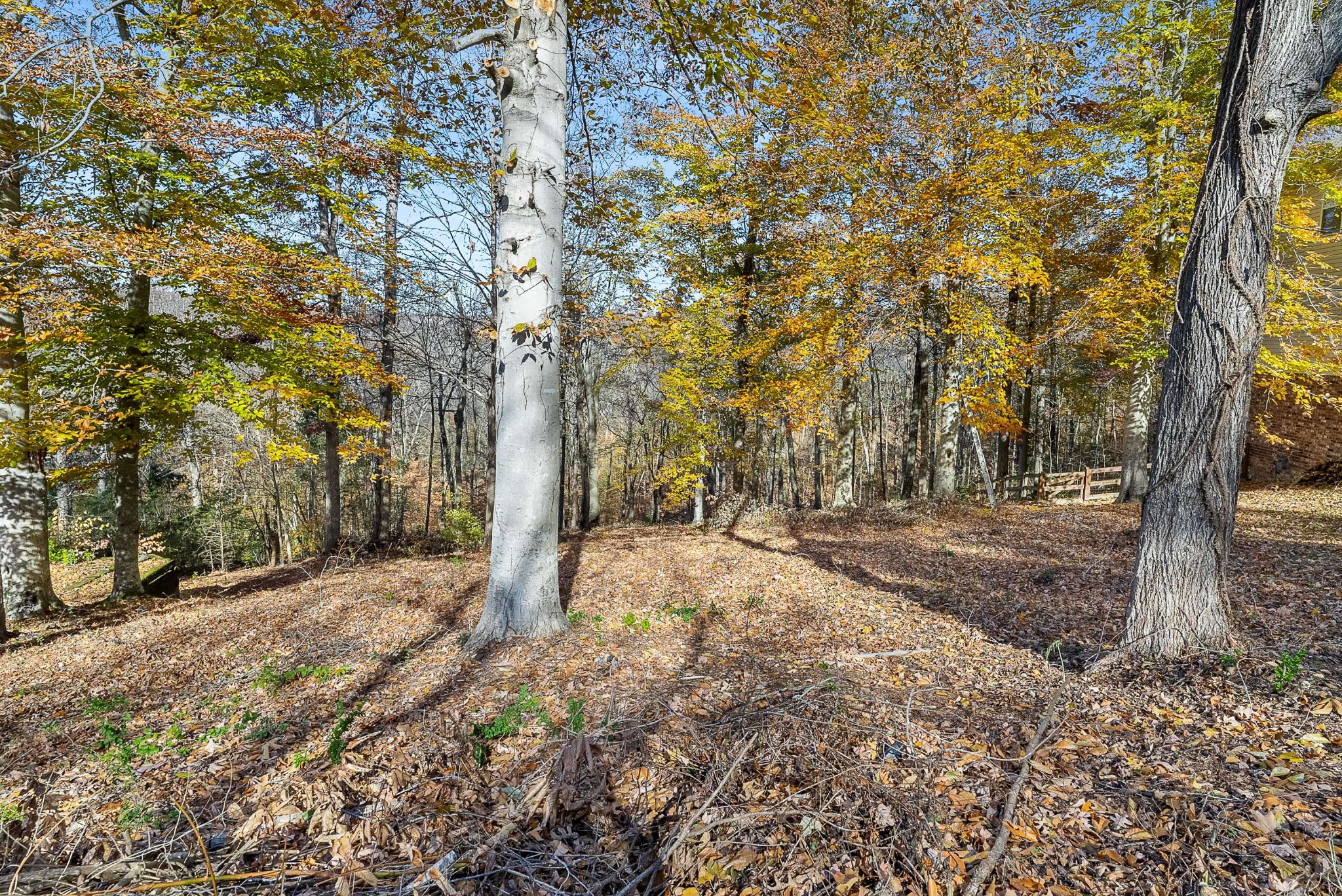 165 Overlook Court Kingston Springs TN 37082