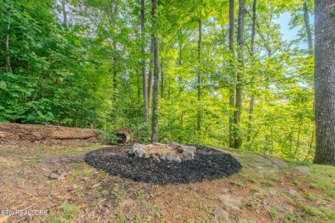431 Thomas Loop Road Sevierville TN 37876