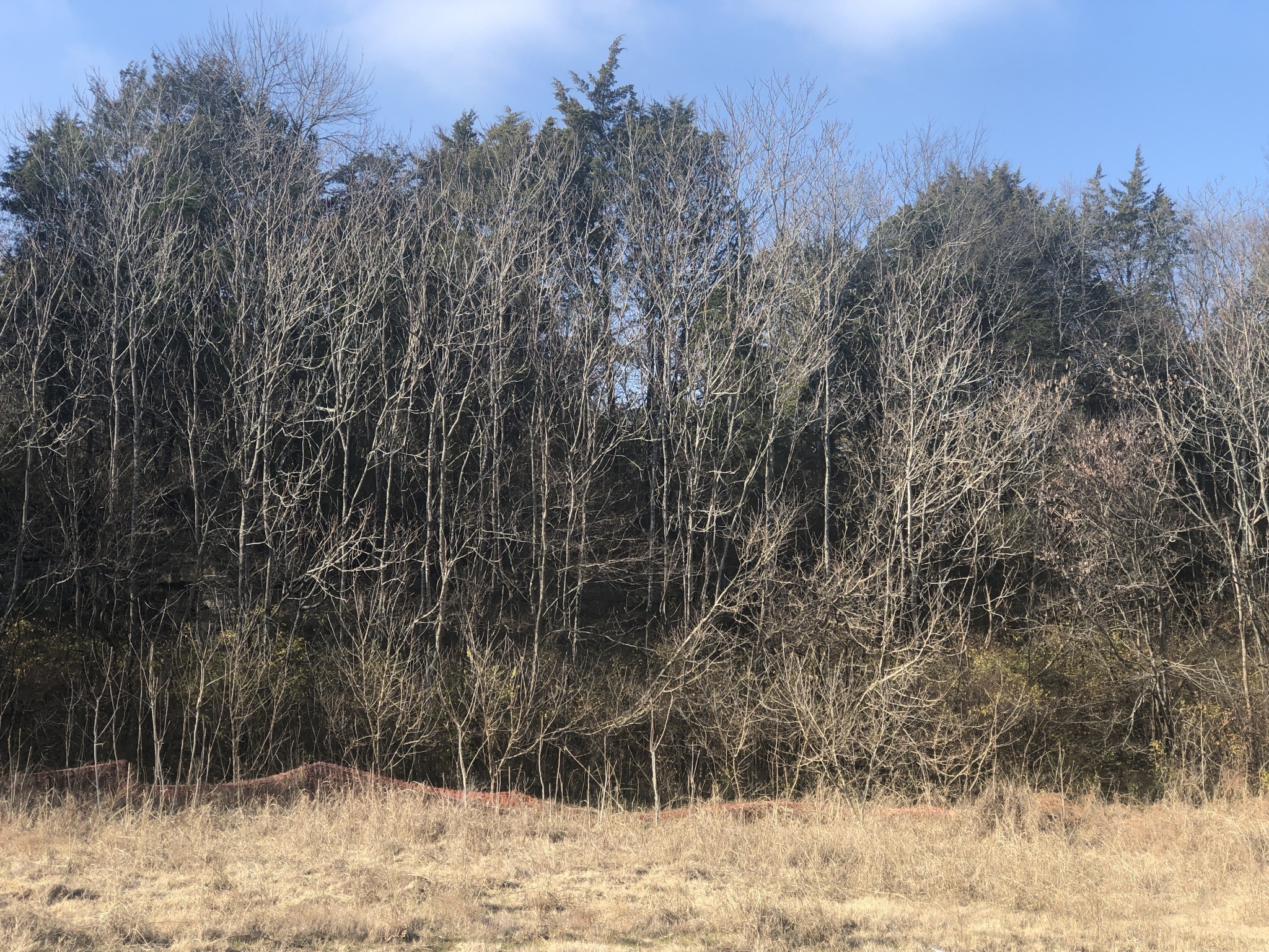 433 Old Hickory Boulevard Antioch TN 37013