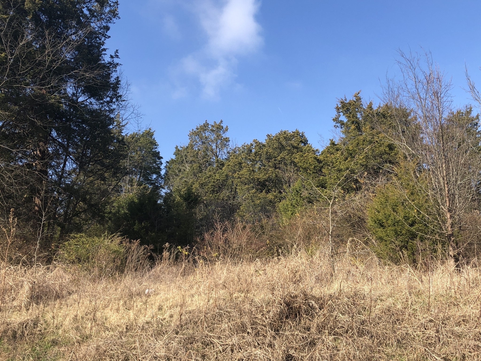 433 Old Hickory Boulevard Antioch TN 37013
