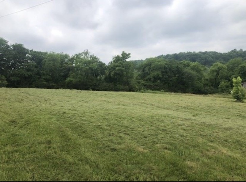0 Johnson Hill Road Mount Pleasant TN 38474