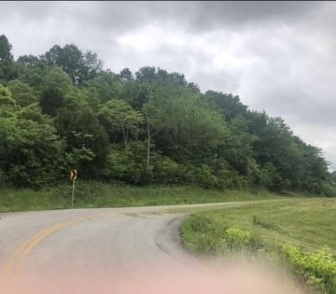 0 Johnson Hill Road Mount Pleasant TN 38474