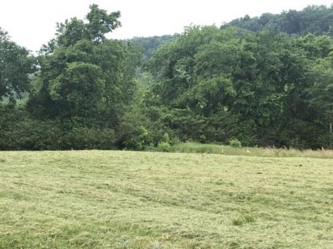 0 Johnson Hill Road Mount Pleasant TN 38474