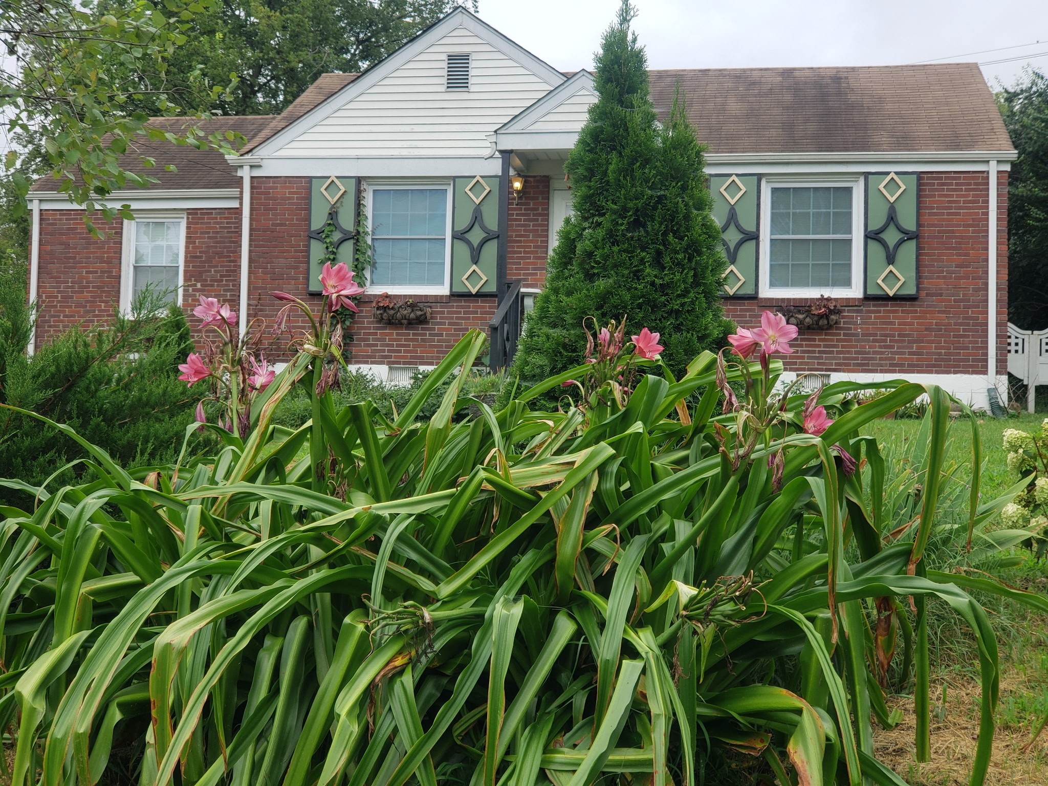120 Montague Way Madison TN 37115