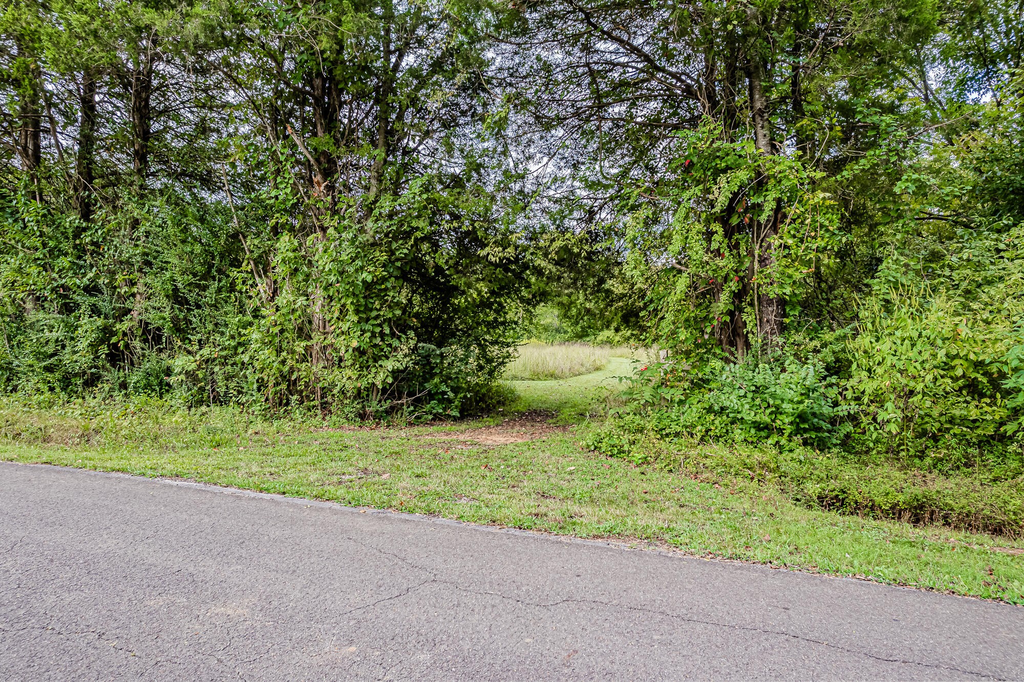 0 County Road 432 Englewood TN 37329