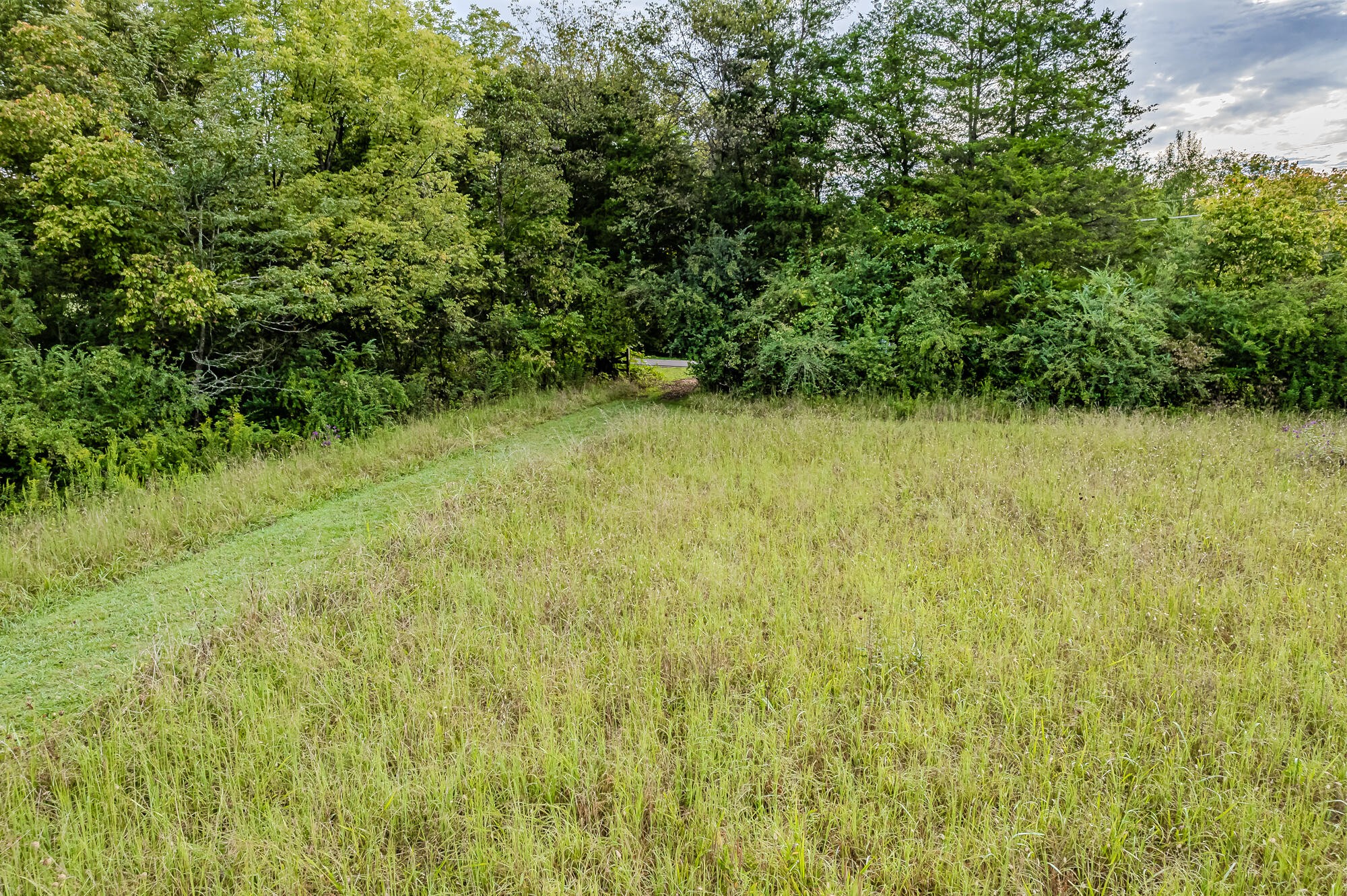 0 County Road 432 Englewood TN 37329