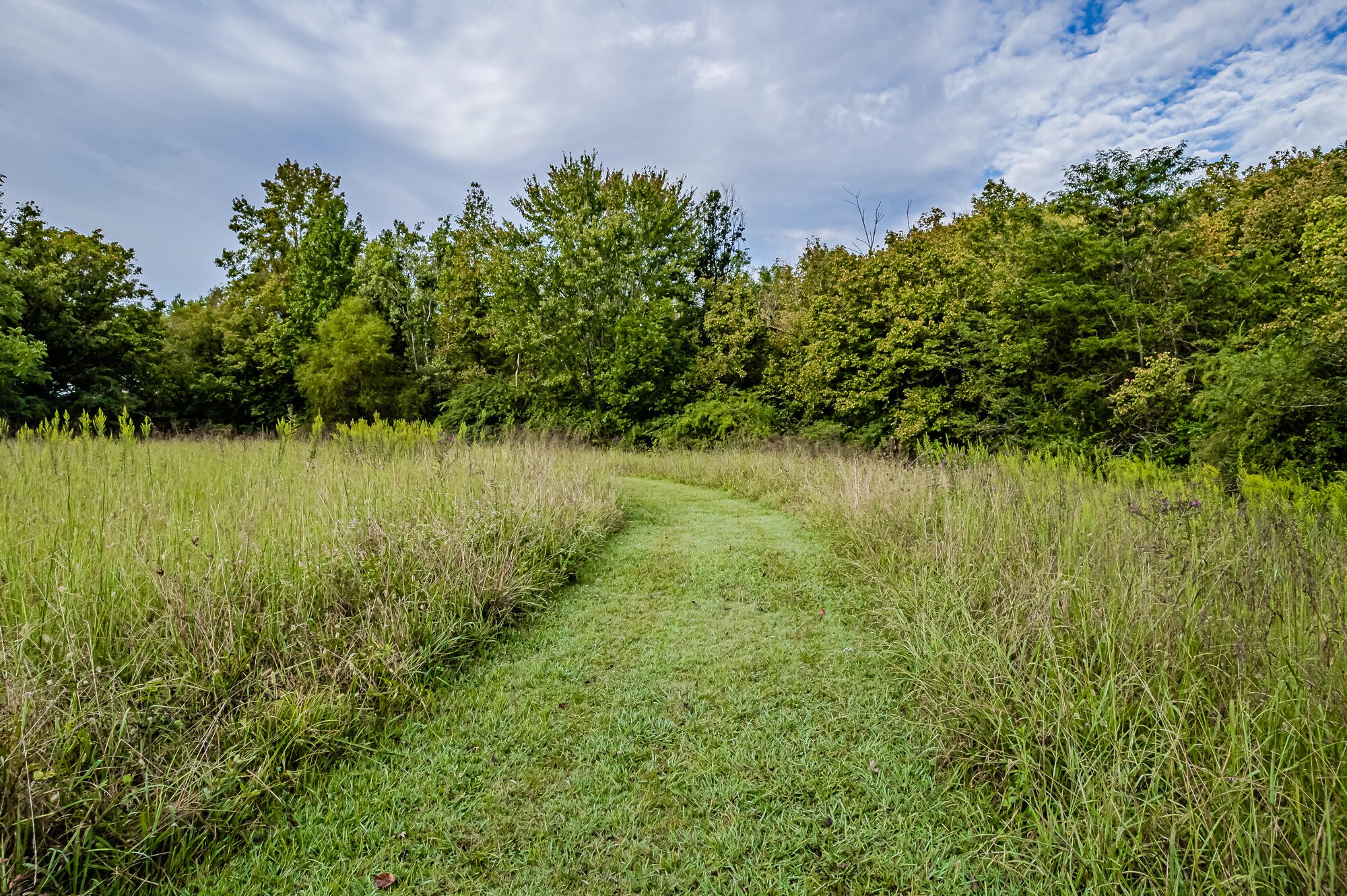 0 County Road 432 Englewood TN 37329