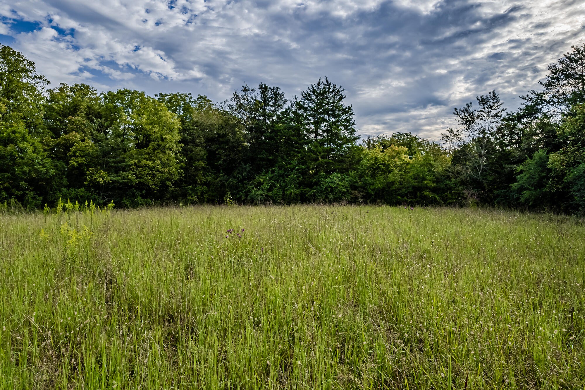 0 County Road 432 Englewood TN 37329