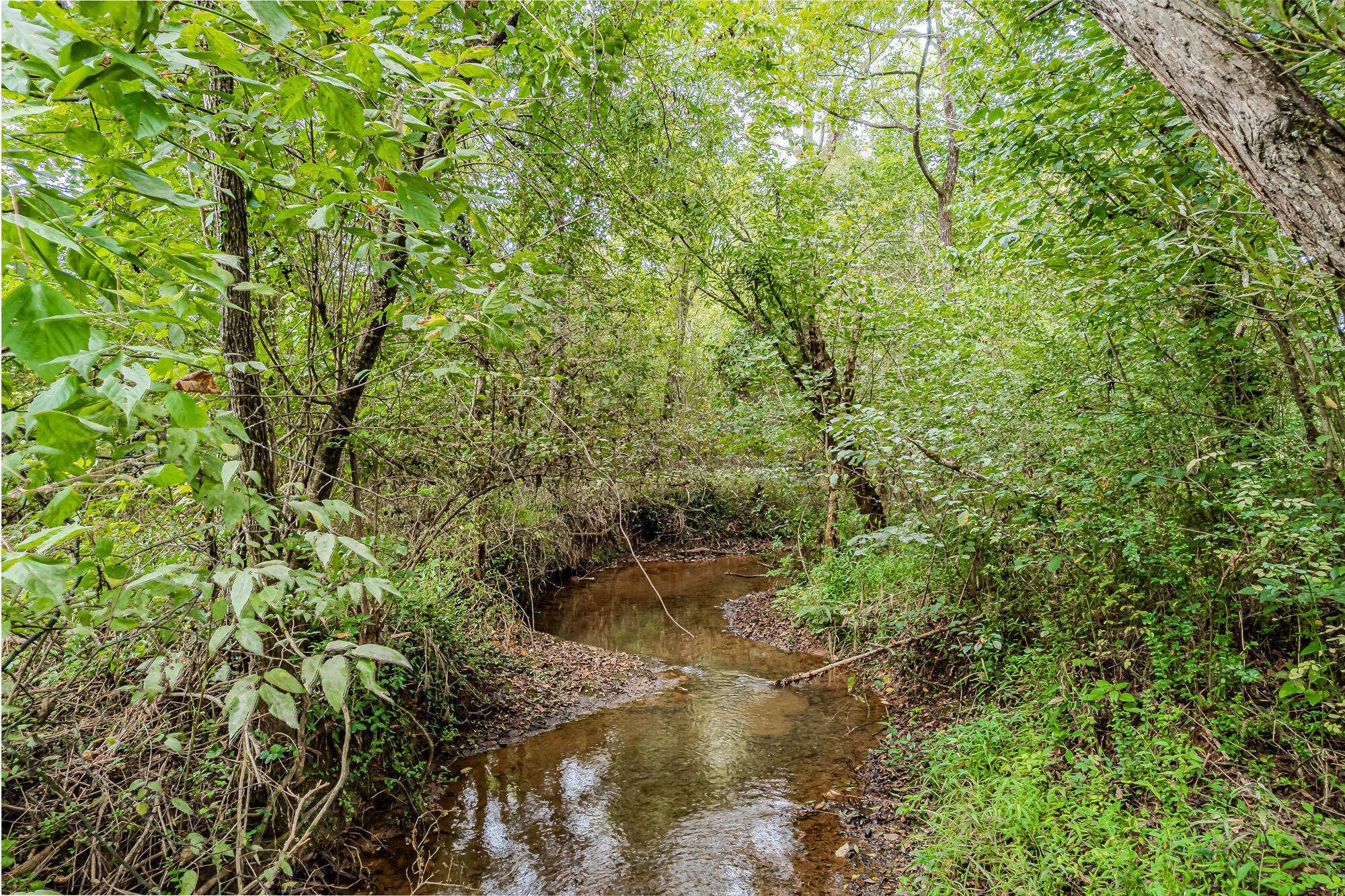 0 County Road 432 Englewood TN 37329