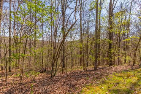 348 Spring Creek Road Westpoint TN 38486