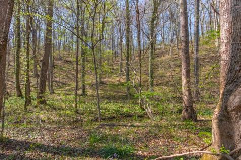 348 Spring Creek Road Westpoint TN 38486