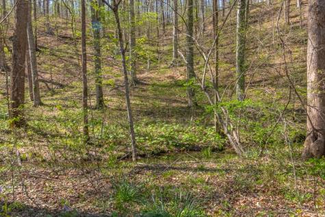 348 Spring Creek Road Westpoint TN 38486