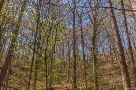 348 Spring Creek Road Westpoint TN 38486