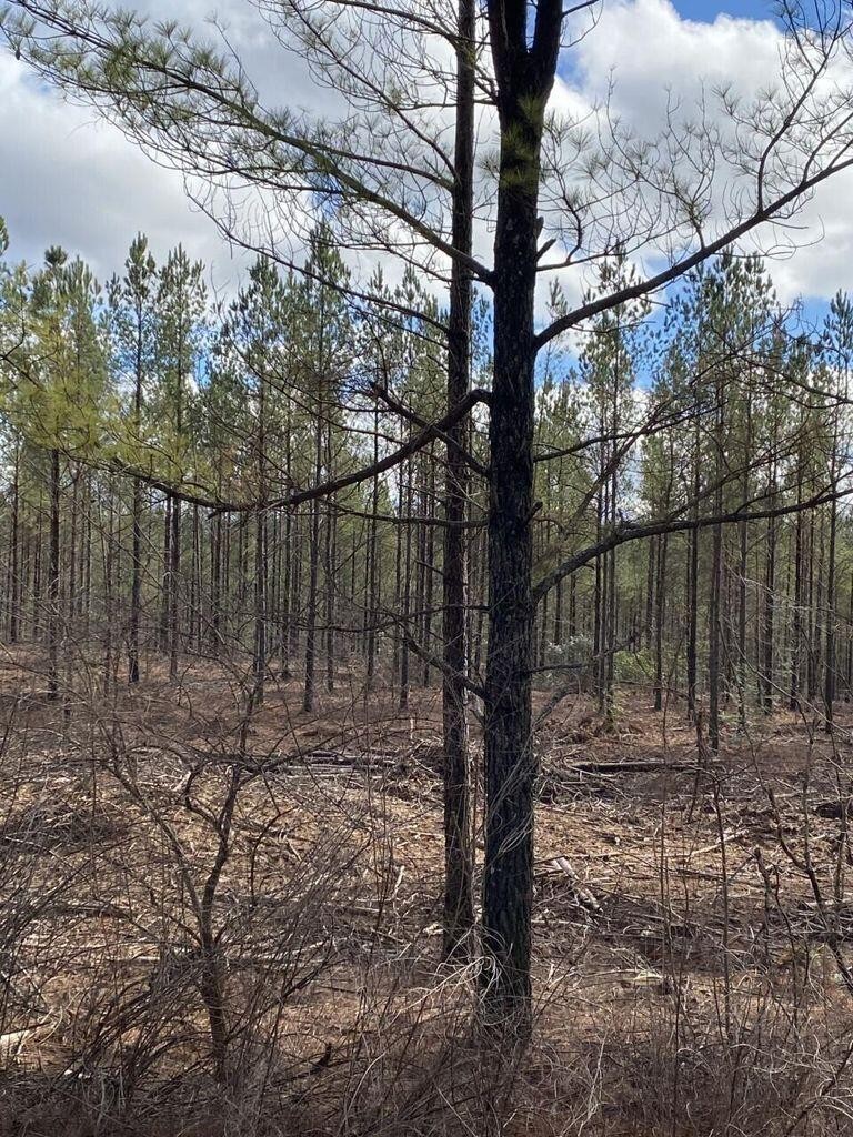 5 Thomas Springs Road Crossville TN 38572