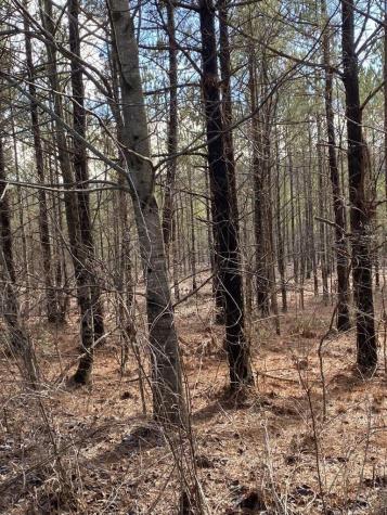 5 Thomas Springs Road Crossville TN 38572