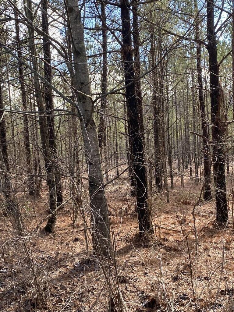 5 Thomas Springs Road Crossville TN 38572