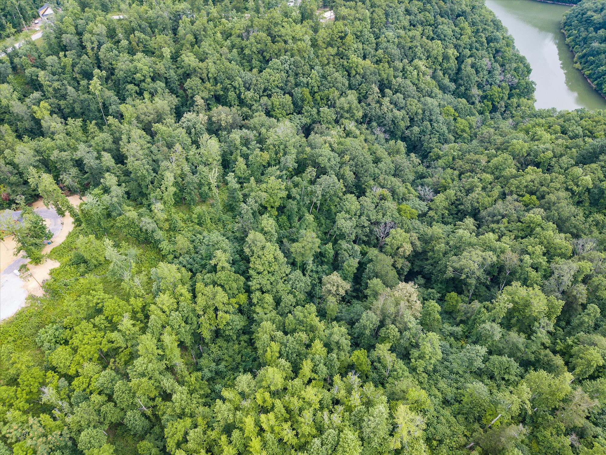 0 Peninsulas Edge Court Smithville TN 37166