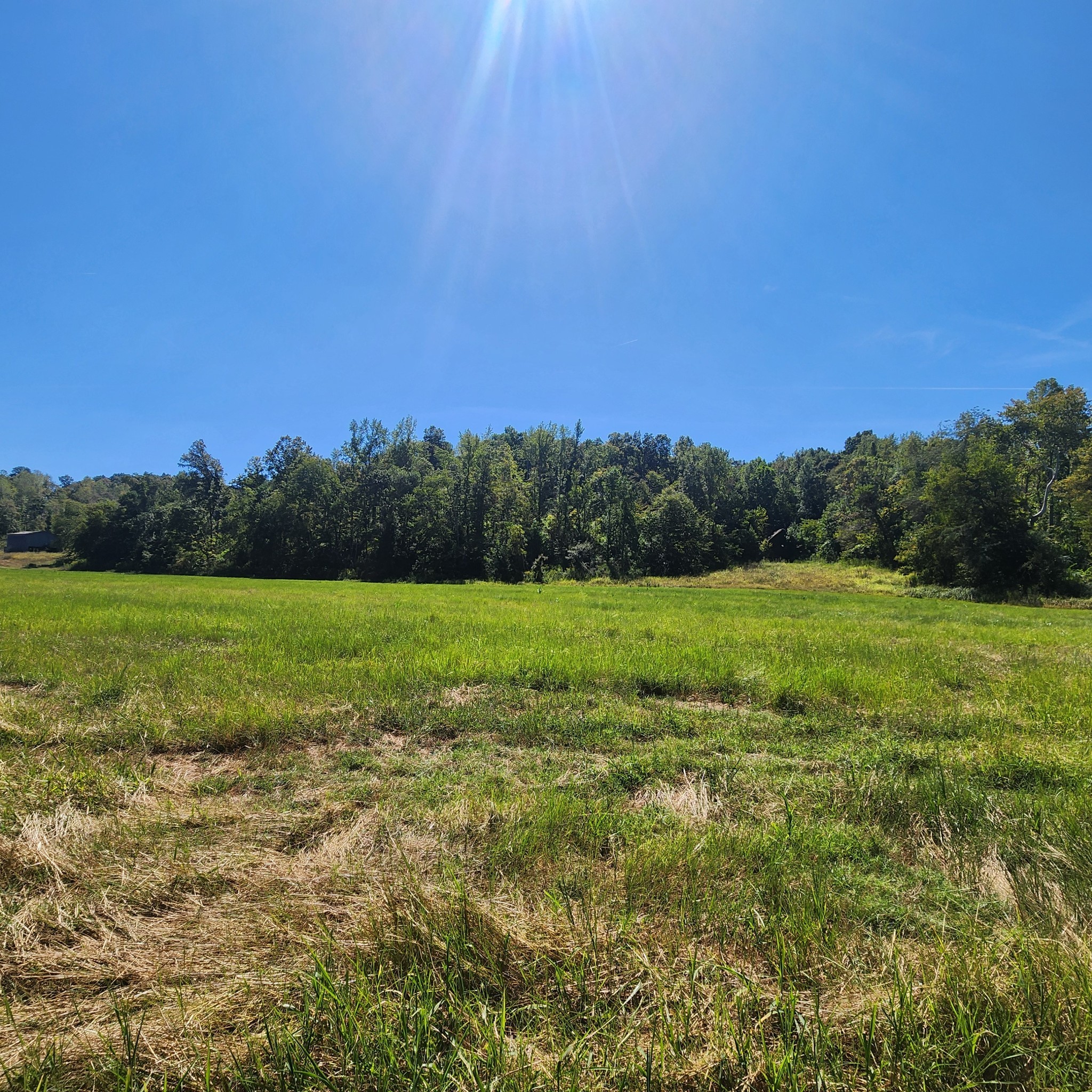 229 Bob Walker Road Bumpus Mills TN 37028