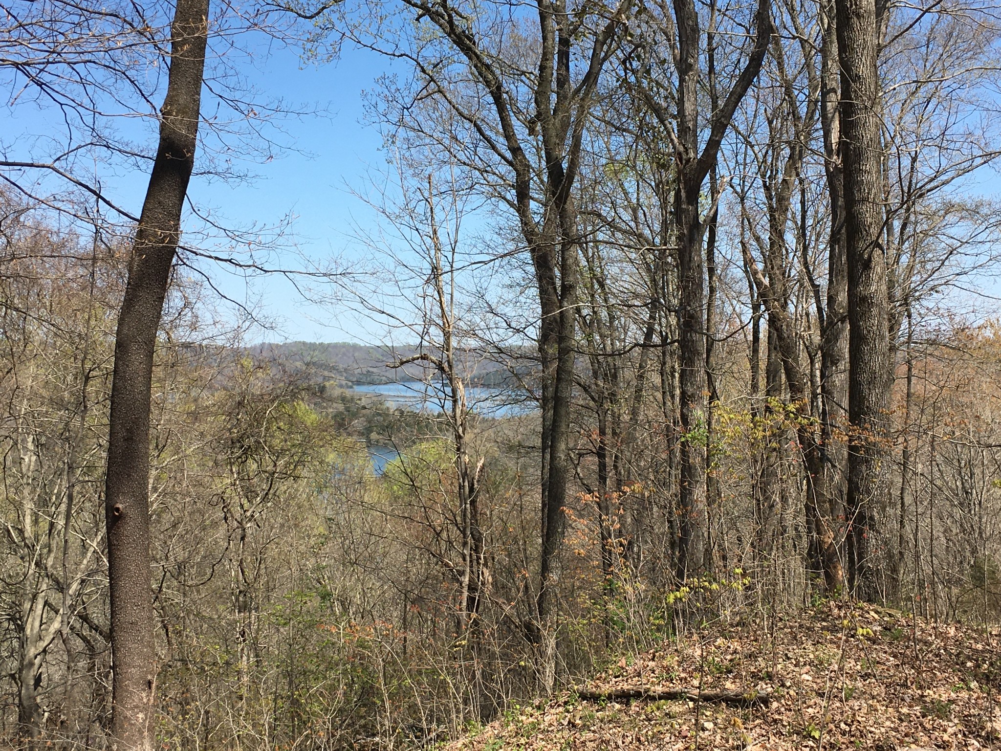 0 Rutherford Lane Smithville TN 37166