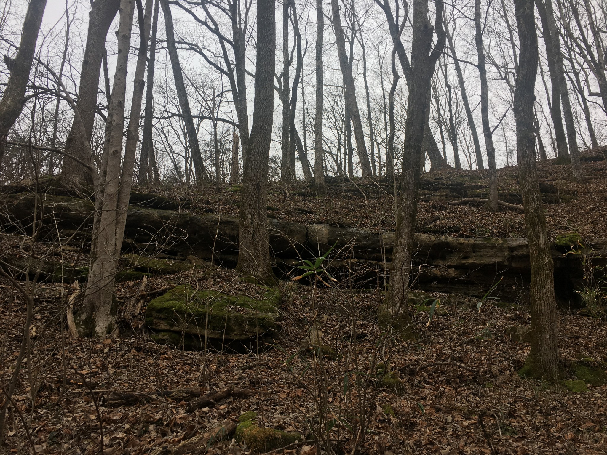 0 Rutherford Lane Smithville TN 37166