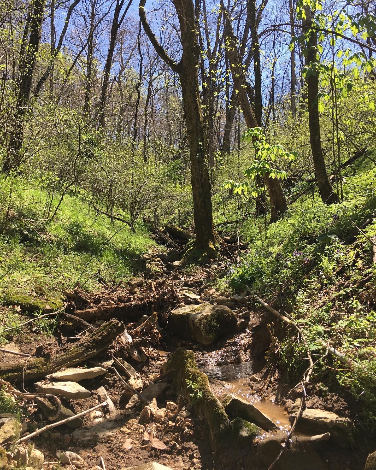 0 Rutherford Lane Smithville TN 37166