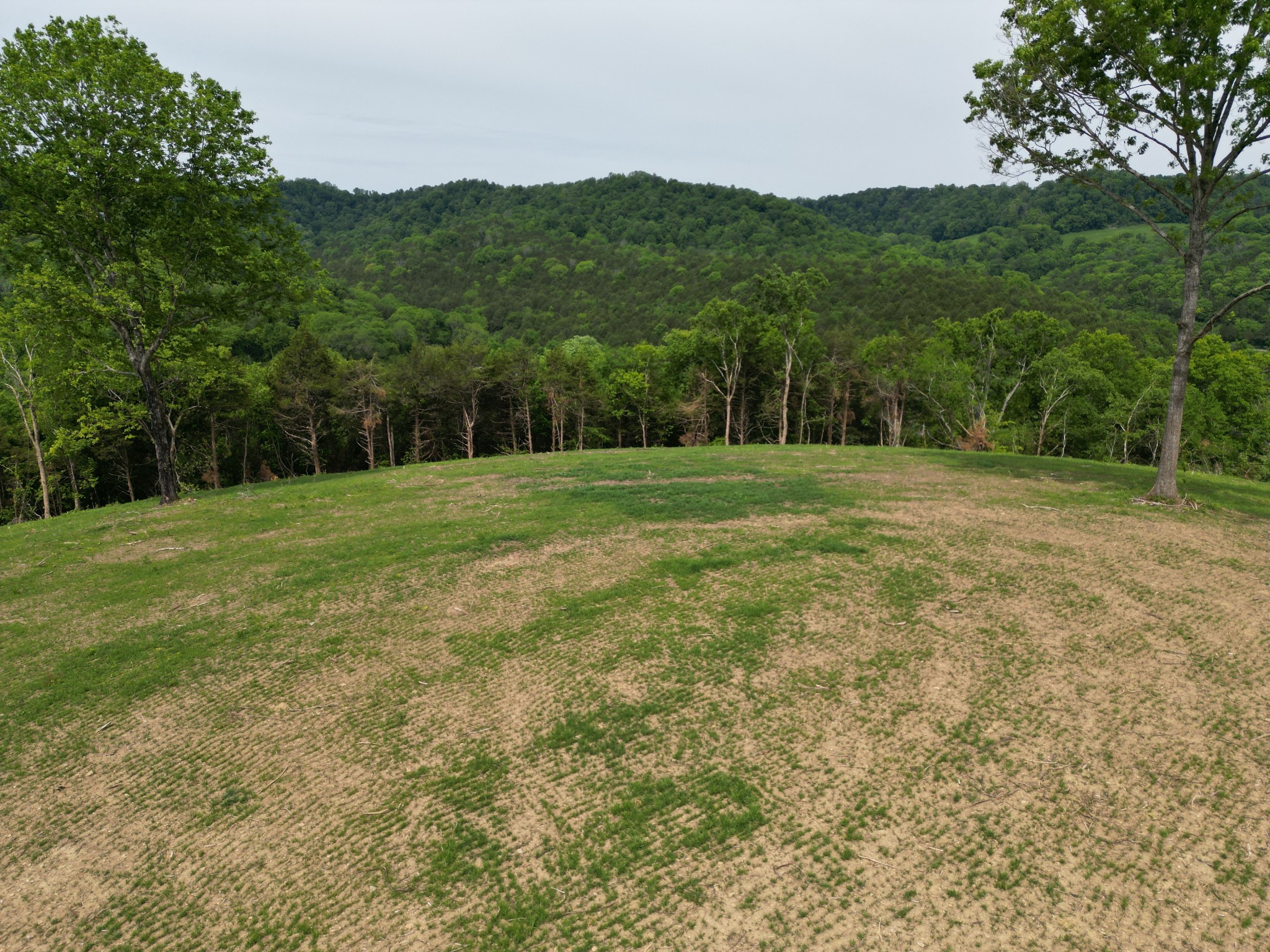 0 Baugh Hollow Road Gainesboro TN 38562