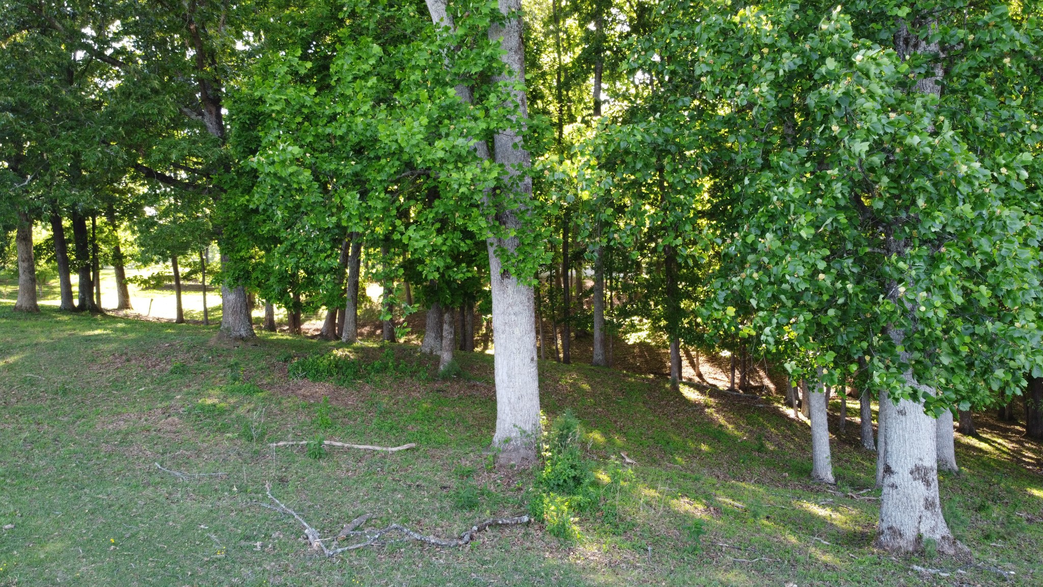 143 Griffintown Road Sparta TN 38583
