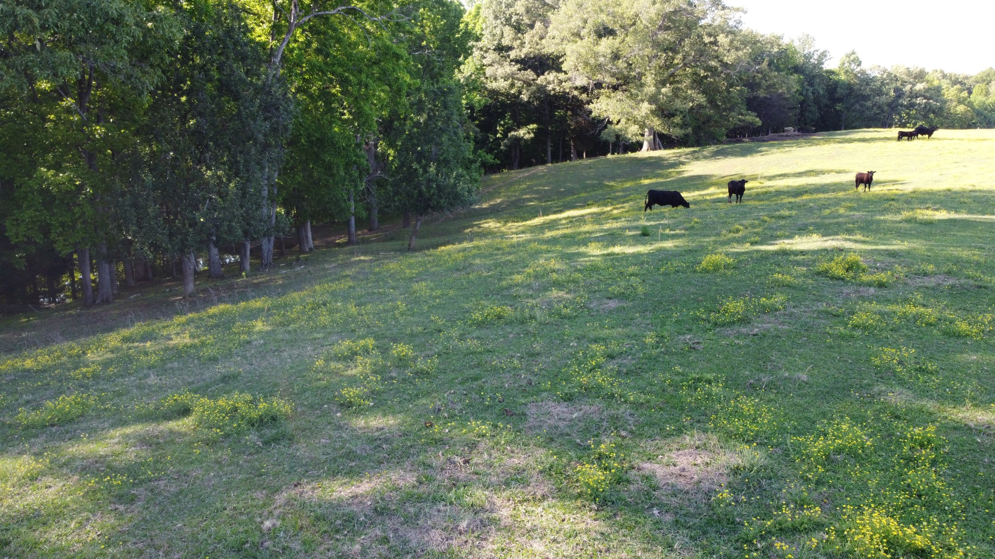 143 Griffintown Road Sparta TN 38583