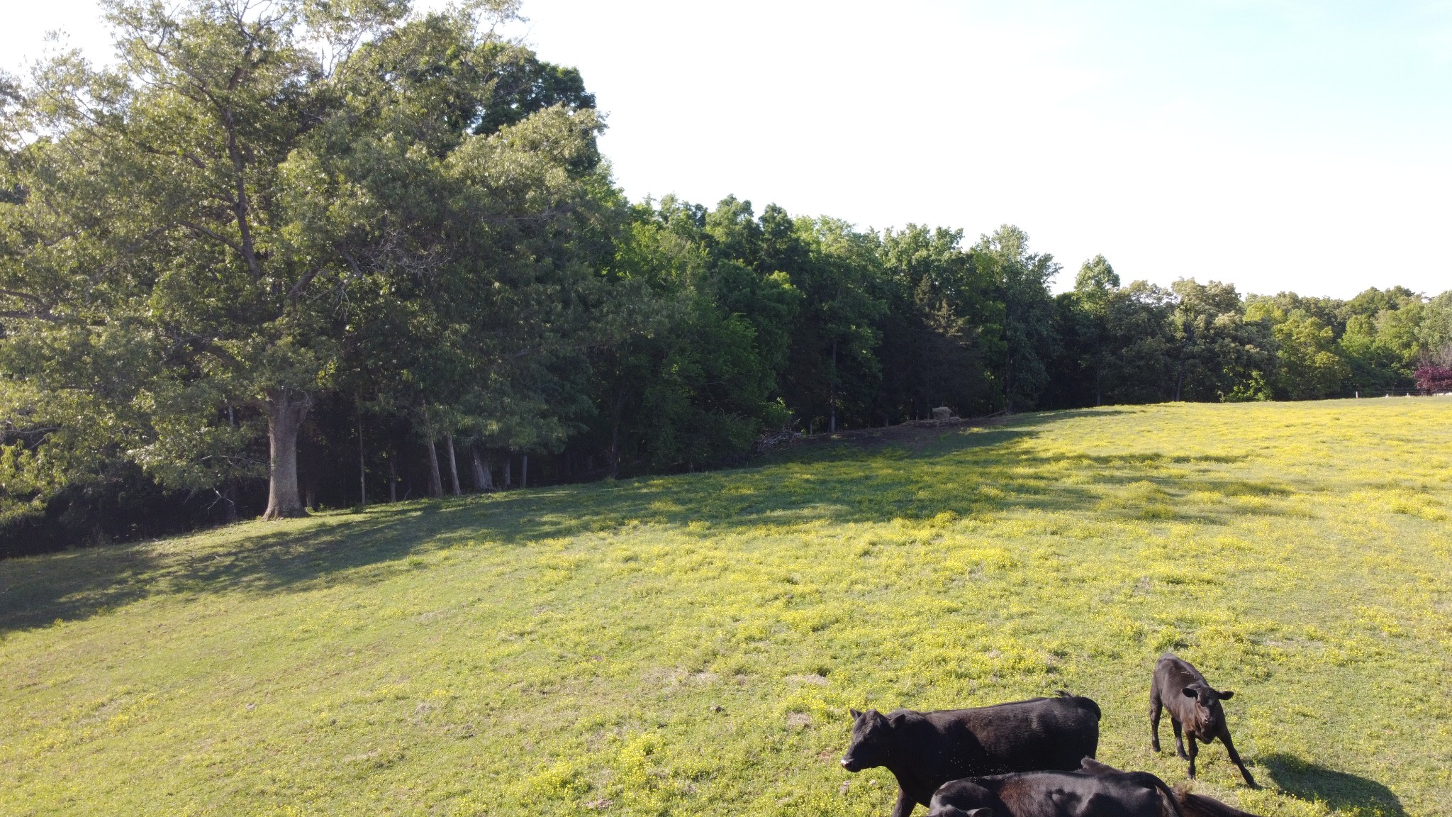 143 Griffintown Road Sparta TN 38583