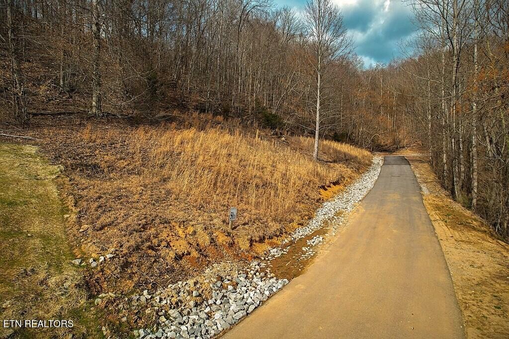 50 Crappie Lane Hilham TN 38568