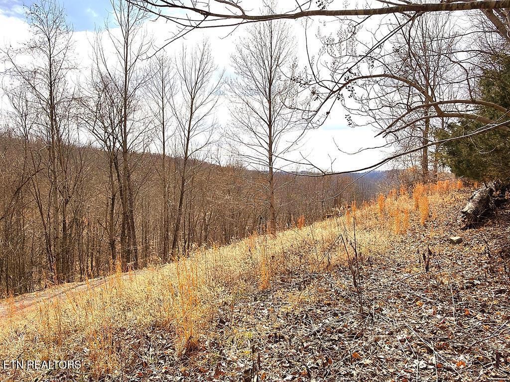 50 Crappie Lane Hilham TN 38568