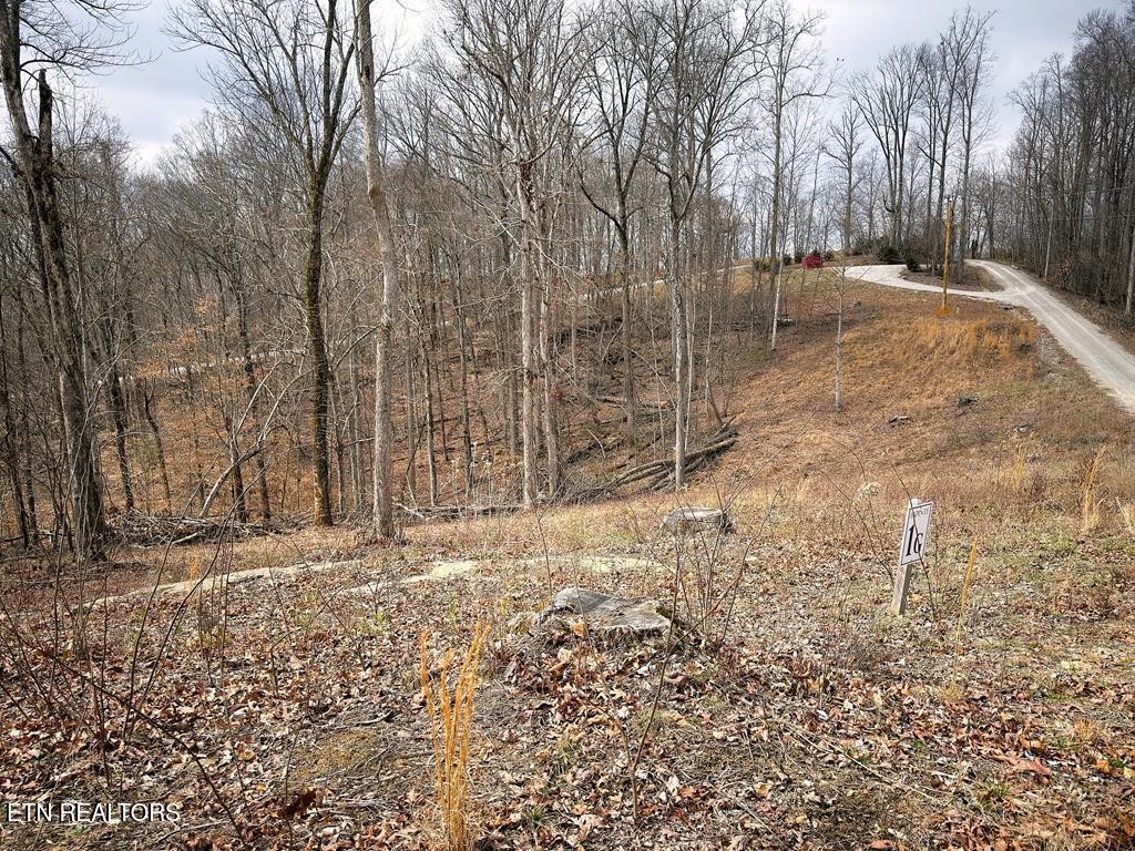 50 Crappie Lane Hilham TN 38568
