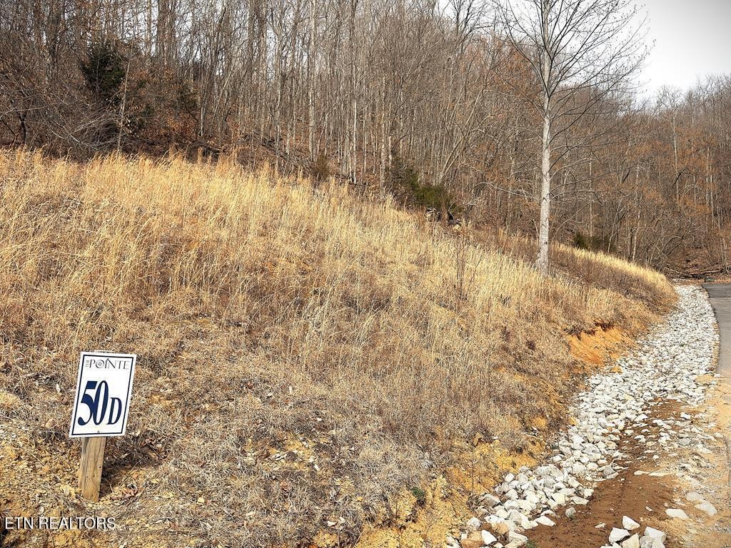 50 Crappie Lane Hilham TN 38568