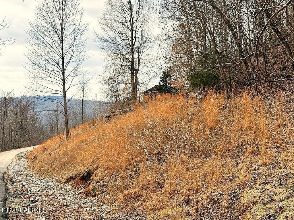 50 Crappie Lane Hilham TN 38568