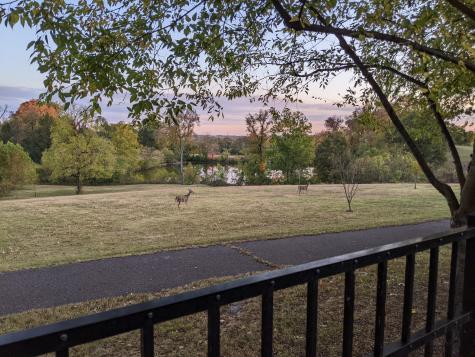 5129 Mountainbrook Circle Hermitage TN 37076